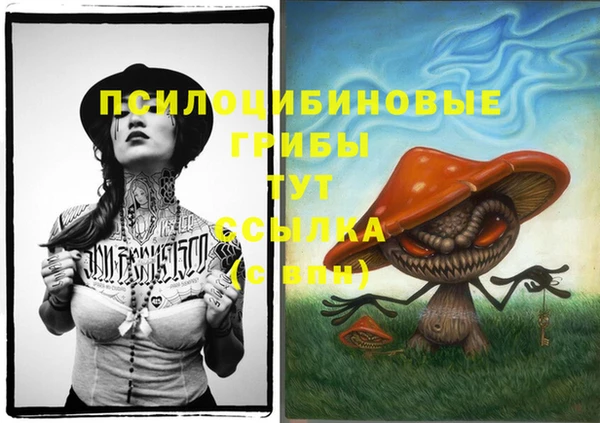 мет Абинск